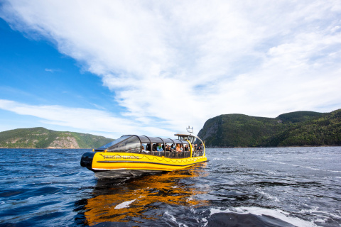 Vivez une Croisière aux baleines inoubliable au cœur du Fjord du Saguenay